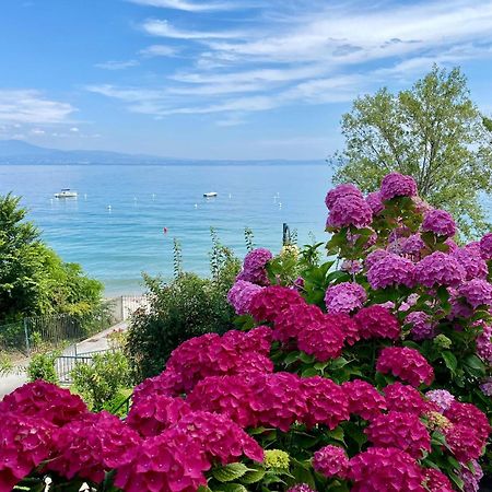 Front Lake Amazing View Manerba del Garda Zewnętrze zdjęcie