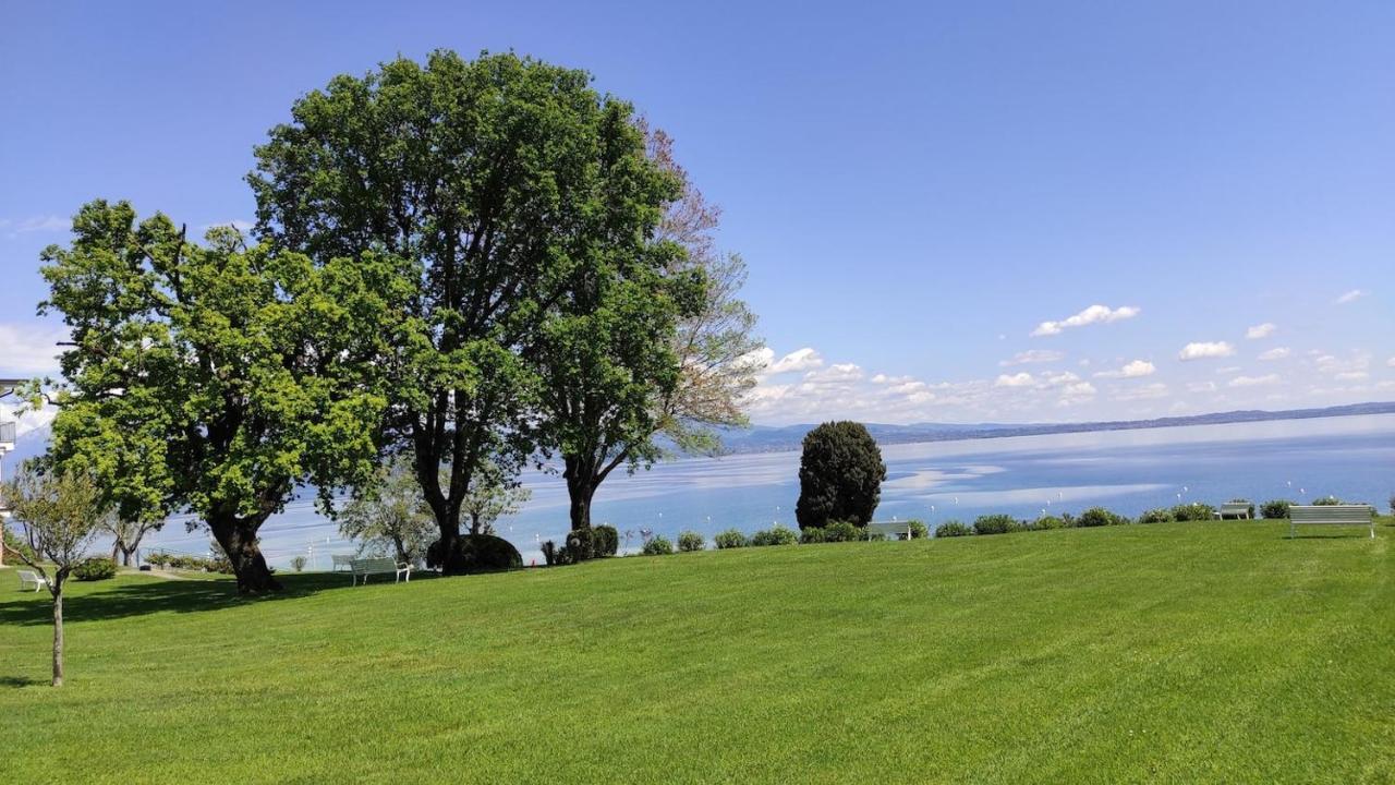 Front Lake Amazing View Manerba del Garda Zewnętrze zdjęcie