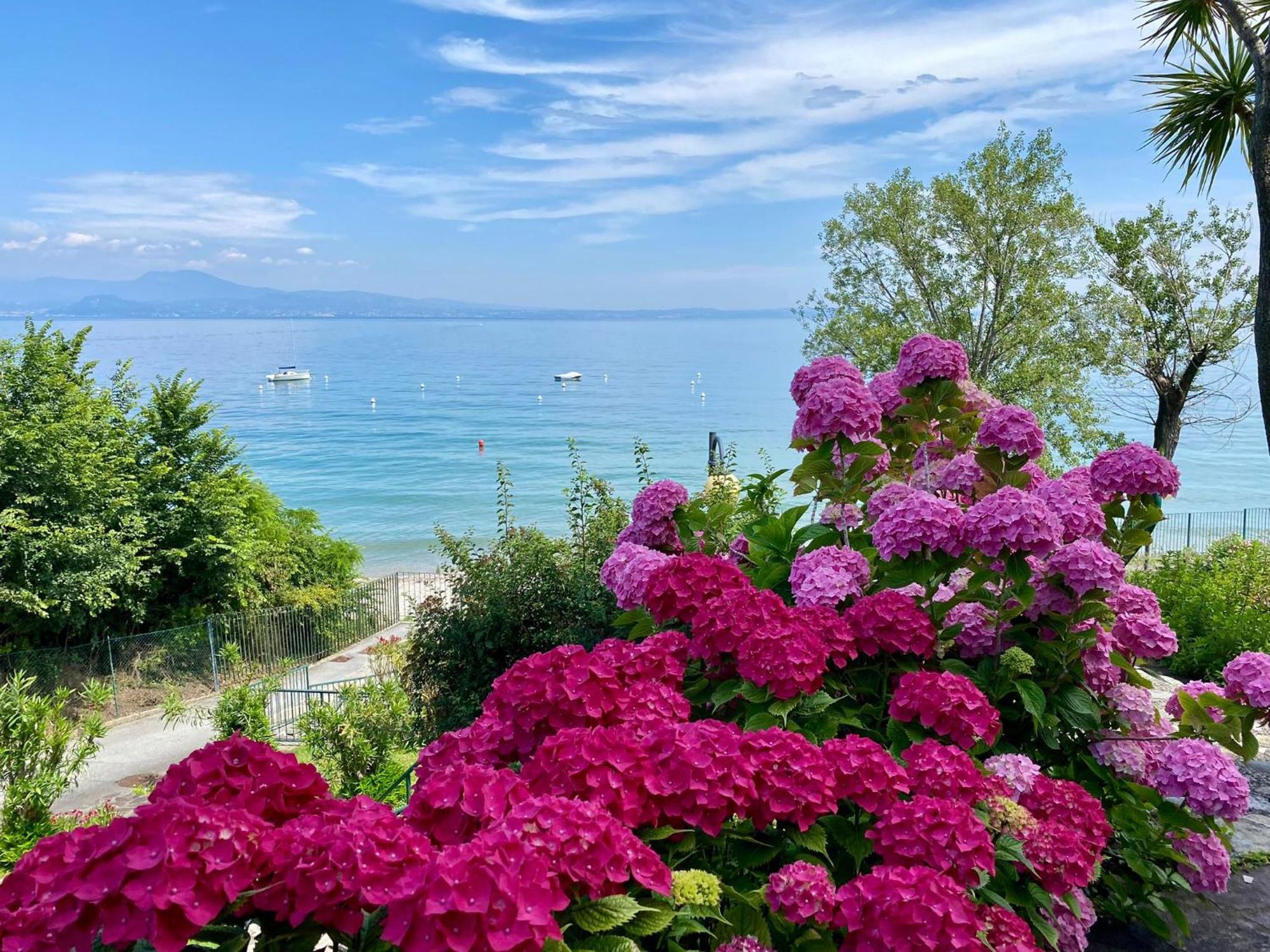 Front Lake Amazing View Manerba del Garda Zewnętrze zdjęcie